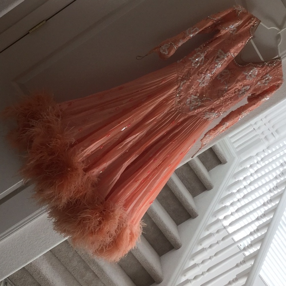 Ballroom Dancing Costume Gown